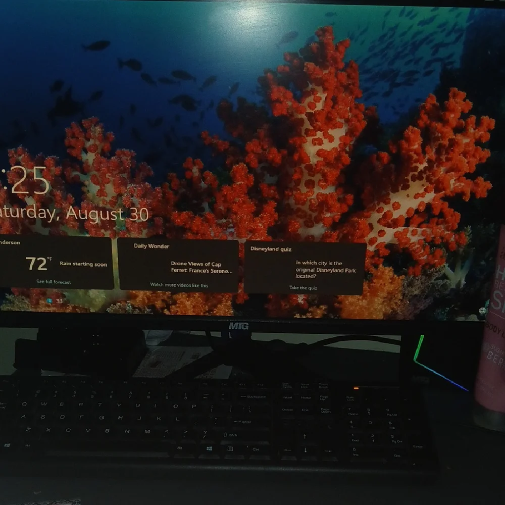 Dell Monitor with Black and Gray Design